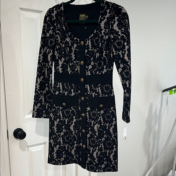 Taylor lace mini-dress - NWT - black lace overlay.  Size 2 - Picture 2 of 11